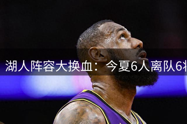 湖人阵容大换血：今夏6人离队6将加盟 赛布尔330万签约引关注